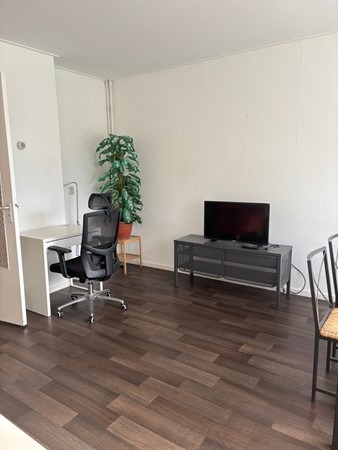 WhatsApp Image 2026-02-04 at 11.48.13 (4).jpeg